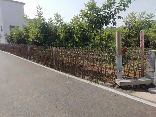 春暖期几许_旧貌焕新颜——安阳J9九游会助力分包村人居环境整治工作纪实 春暖期几许_旧貌焕新颜——安阳J9九游会助力分包村人居环境整治工作纪实